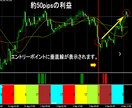 FX初心者に最適なシンプルなインジケータ販売します 赤で買い。緑で売り。難しく考えないで、やることはシンプル！ イメージ3