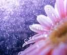 心の曇りガラスを拭き取ります 少しでも、貴方の心が癒されますように(*´꒳`*) イメージ1