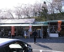 カメラ選びの相談に乗ります どのカメラを買えばいいかわからない。という方へ！ イメージ3