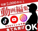 最短2日★理想の動画編集を致します 定期投稿やスピード仕上げにも対応できます! イメージ1