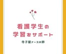 看護学生必見！！小児科実習を2週間全面サポートます 小児看護学講師、実習引率教員があなたの小児科実習を助けます イメージ1