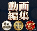 上場企業案件の実績多数あります マーケティング視点で伸びる動画編集を幅広く対応！ イメージ1