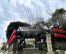 枳尼天さまの強力金運ヒーリングをします 最高峰の開運出世、商売繁盛のエネルギーです。 イメージ2