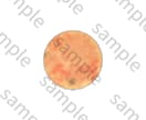惑星のイラスト多数を販売しています 太陽系惑星シリーズ/ダウンロードするだけ☆ イメージ6