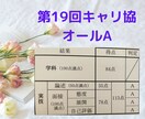 キャリアコンサルタント実技ロープレCL役やります キャリコン面接78点/解説資料＆フィードバックシート/60分 イメージ2