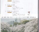 基本文法編）中国語の基本文法レッスンをいたします 上海５つ星ホテル勤務経験者が中国語文法の基本から教えます！ イメージ6