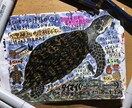 海洋生物のイラスト描きます 小さな魚から大きなクジラまで、種類色々お任せください！ イメージ9