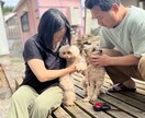 どんな事でも貴方の気持ちに寄り添います 共感力には自信があります。ぼっちを無くしたいが私の願いです。 イメージ3