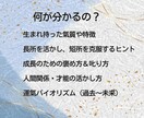 運命の氣質鑑定いたします ☯人生が驚くほど楽になる氣質診断☯ イメージ4