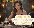 お試し価格！ご質問1件承ります 質問を投げるだけ！24時間以内にメッセージで返信します。 イメージ1