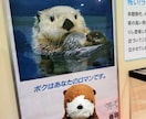 お話し聞きます 聞くのが好きなわたしがサポート イメージ1