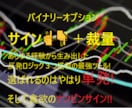 投資心理搭載サインツール＋専用マニュアル提供します マーチン無し！ダイバー第2弾など３ロジック搭載バイナリーBO イメージ1