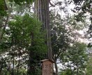 ご祈願します ご祈願します、縁結び、復活愛、人間関係、良縁祈願など イメージ1