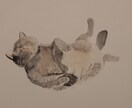 動物の似顔絵描きます シンプルで優しいペットの似顔絵描きます イメージ4