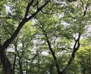 心を軽くするお手伝いをします 自分を大切にできるようにしていきましょう‼︎ イメージ4