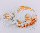 猫ちゃんのイラスト絵を手描きで描きます 猫ちゃんのお写真からわたくしが手描きでイラスト絵を描きます イメージ4