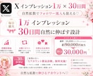 Xインプレッション1万×自然な拡散30日間します ポスト分割対応♡フォロワー流入も狙える拡散設計⭐︎ イメージ1