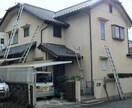 マイホームのお困りごとに対応します 害虫駆除～庭木選定・屋根壁塗装まで「なんでもＯＫ」 イメージ1