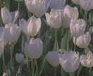 本当はあの人からどう思われてる？徹底的に占います 好き？嫌い？出会いから現在まで深層心理を本格鑑定＆即お届け♡ イメージ9