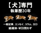 犬に関する一般・SEO記事、エッセイなど執筆します 歴30年のドッグライターが犬への愛を込めて丁寧仕上げ イメージ1