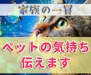 大事なペットちゃんのお気持ち、代理で伝えます 虹を渡った子でも可！約5000文字超の大ボリューム鑑定書付き イメージ1