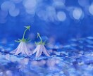 相手の気持ちと未来＋恋愛の潜在意識の啓示を視ます 恋愛アカシック）相手の気持ちと未来＋貴方自身の意識からの報せ イメージ4