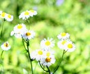 あなただけのお気に入りの１枚を提供します あなただけのオリジナルがあります。 イメージ5