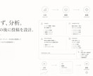 SNS運用の戦略と投稿設計を作ります 分析から7日分の投稿・台本まで丸ごと設計 イメージ4