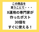X/Twitter ポスト作成代行します X運用の専門家にお任せ。7日で30個作成します！ イメージ2