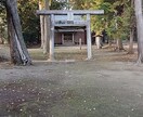 全てを見ることができます 全てを見ることができます 何でもいいです イメージ3