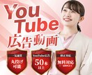 YouTube広告動画：ターゲット訴求します 【★初めてでも安心★】無料修正対応・ヒアリングシートあり！ イメージ1