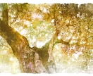 風景イラスト(水彩画・アニメ背景画風)描きます ★本挿絵・WEB・観光案内・動画配信背景などへもOK! イメージ5
