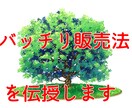 たくさん売れた販売法を伝授いたします 技術屋でも売れた販売法ならたくさん売れる!! イメージ1