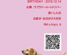 ペット名刺（PET NAME CARD）制作します セミオーダータイプ・50枚単位で注文可能！ イメージ5