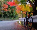 熊本のオススメのサイクリングコース計画します 熊本で脚力に合わせたコース作成等します！ イメージ1