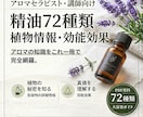 精油72種類の抽出植物情報・効能資料をお渡します 植物情報7項目・効能効果17項目でまとめています！ イメージ1