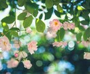 大したことじゃないけど聞いて／もちろん♪聞きます 話すだけでスッキリしたり解決の糸口が見つかることがありますよ イメージ1