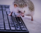 報告してください！習慣化のお手伝いをします あなたと作るオーダーメイド！一緒に目標達成しましょう☽ イメージ1