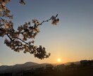 26歳OLが何でも相談に乗ります 転職、起業などの経験からご相談に乗ります！ イメージ1