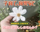 あなたの心に寄り添います♡ママに共感します 現役保育士・2児のママが、子育てや育児に関するお話聞きます♩ イメージ1