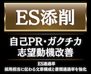 ES・自己PR・ガクチカ・志望動機を添削します 超大手メディア社員×修士キャリアコンサルタントの指導 イメージ1
