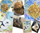 ペットの似顔絵、背景込みで絵本風に手描きします 飾り易いA5サイズ一点物です。プレゼントや虹組さんの思い出に イメージ5