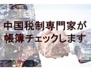 中国子会社の帳簿を中国税制の専門家がチェックします ビデオチャットでの報告会と日本語での財務諸表が付いています イメージ1