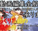 動画編集いたします 細かいところまで編集内容を指定可能です イメージ1