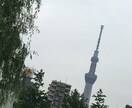 悩み、不安、恋愛相談、など人に言えない心の悩みをお話してみませんか？♪ イメージ1