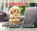 コンテンツ作成【ツール３選】PDFを提供します スマホだけでPDFを作成するには...マニュアルをお渡します イメージ5