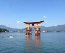 タロットであなたを占います 北から南まで神社仏閣お参りさせて頂いてます イメージ7