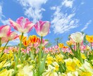 パーソナリティ障害でお悩みの方、ご相談承ります 依存症、パーソナリティ障害に苦しむ方へ イメージ1