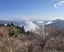 基本的な鑑定➕各運勢を更に詳しく占います 基本的な鑑定➕傾斜宮からさらに詳しく金運・恋愛運などを視ます イメージ1
