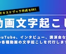各種動画の文字起こしを代行いたします エクスプレス便OK！面倒な文字起こしをお任せください イメージ1